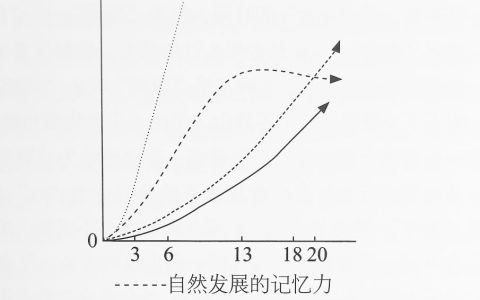 儿童读经之基本理论